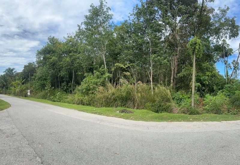 Agriculture Land For Sale in Kuala Kangsar Perak