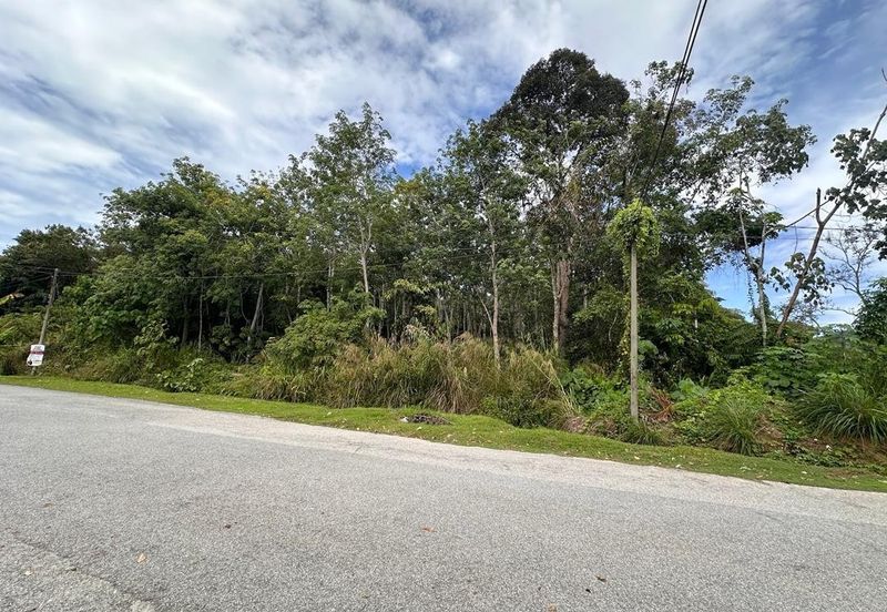 Agriculture Land For Sale in Kuala Kangsar Perak