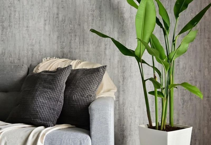 United Point Residence (Residensi Bersepadu)