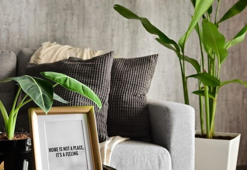 United Point Residence (Residensi Bersepadu)