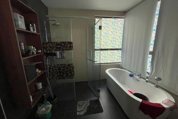 Vittaria, Setia Eco Glades