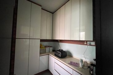 Vittaria, Setia Eco Glades