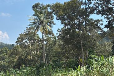 Jelebu Kg Gagu Tanah Pertanian 2 Ekar Untuk Dijual Hanya RM340K NEGO 