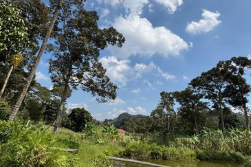 Jelebu Kg Gagu Tanah Pertanian 2 Ekar Untuk Dijual Hanya RM340K NEGO 