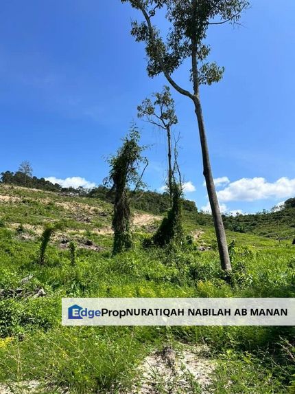 Tanah Kebun 5 Ekar Untuk Dijual Peradong Jelebu, Negeri Sembilan, Jelebu