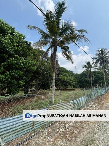 Jelebu Ulu Triang Tanah Kebun Durian 5 Ekar Untuk Dijual, Negeri Sembilan, Jelebu