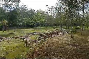 Sg Rotan Jelebu Tanah Kebun Getah 6.7 Ekar NON BUMI + AKSES MASUK ADA