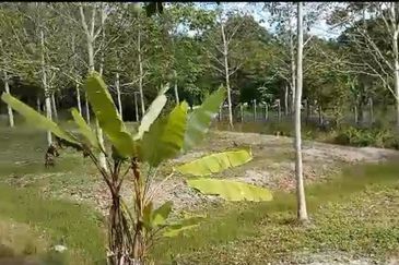 Sg Rotan Jelebu Tanah Kebun Getah 6.7 Ekar NON BUMI + AKSES MASUK ADA