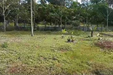 Sg Rotan Jelebu Tanah Kebun Getah 6.7 Ekar NON BUMI + AKSES MASUK ADA