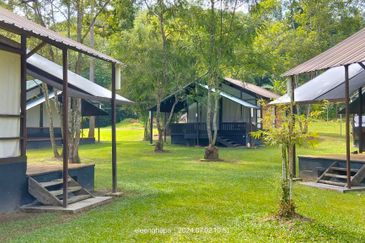 KENABOI JELEBU TANAH UNTUK DIJUAL FREEHOLD + PRIVATE GLAMPING