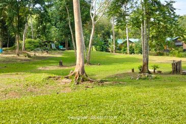 KENABOI JELEBU TANAH UNTUK DIJUAL FREEHOLD + PRIVATE GLAMPING