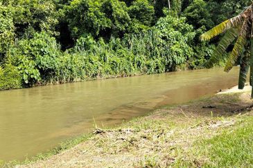 KENABOI JELEBU TANAH UNTUK DIJUAL FREEHOLD + PRIVATE GLAMPING