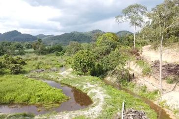Sg Rotan Jelebu 2 Ekar Tanah Pertanian Murah, Ada Punca Air, 12 Batang Pokok Durian, Sesuai Glamping, Penternakan, Pertanian