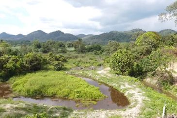 Sg Rotan Jelebu 2 Ekar Tanah Pertanian Murah, Ada Punca Air, 12 Batang Pokok Durian, Sesuai Glamping, Penternakan, Pertanian