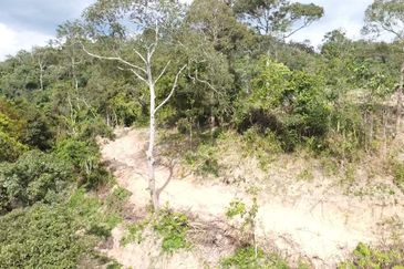 Sg Rotan Jelebu 2 Ekar Tanah Pertanian Murah, Ada Punca Air, 12 Batang Pokok Durian, Sesuai Glamping, Penternakan, Pertanian