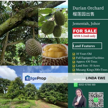 Durian Orchard Jementah Johor for Sale, Johor, Jementah