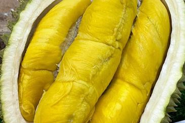 Durian Orchard Sg Chetang Raub for Sale