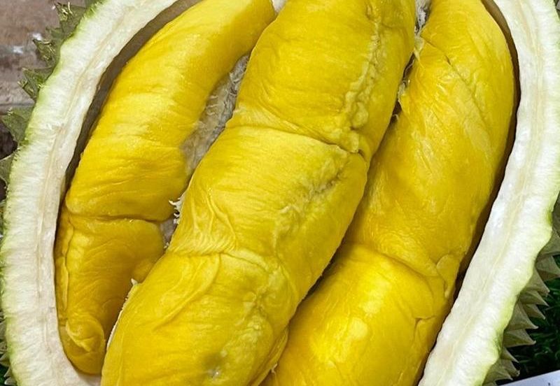 Durian Orchard Sg Chetang Raub for Sale