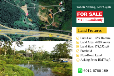 Agricutural Land for Sale Taboh Naning Alor Gajah