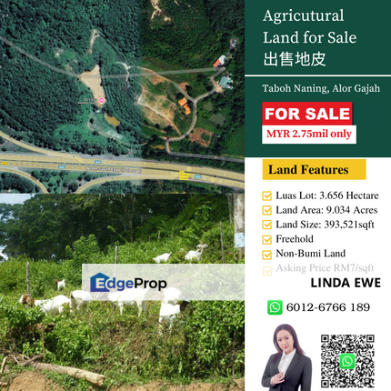 Agricutural Land Taboh Naning Alor Gajah, Melaka, Alor Gajah