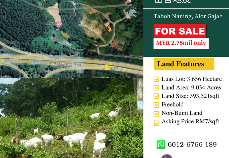 Agricutural Land Taboh Naning Alor Gajah