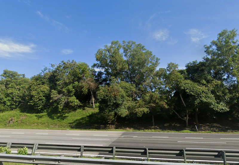 Agricutural Land Taboh Naning Alor Gajah