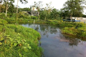 Agricutural Land Taboh Naning Alor Gajah