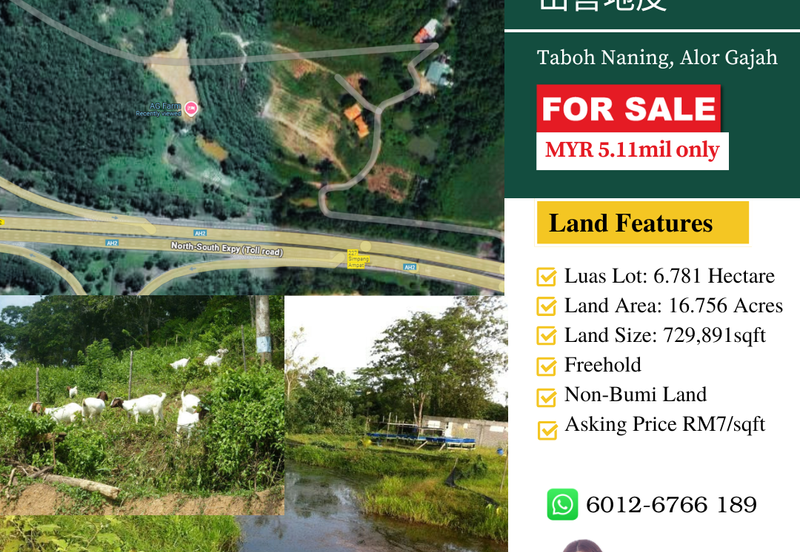 Agricutural Land for Sale Taboh Naning Alor Gajah