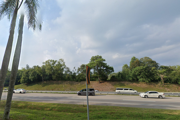 Agricutural Land for Sale Taboh Naning Alor Gajah