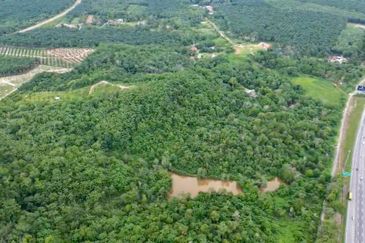 Agricutural Land Taboh Naning Alor Gajah