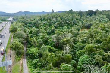 Agricutural Land Taboh Naning Alor Gajah