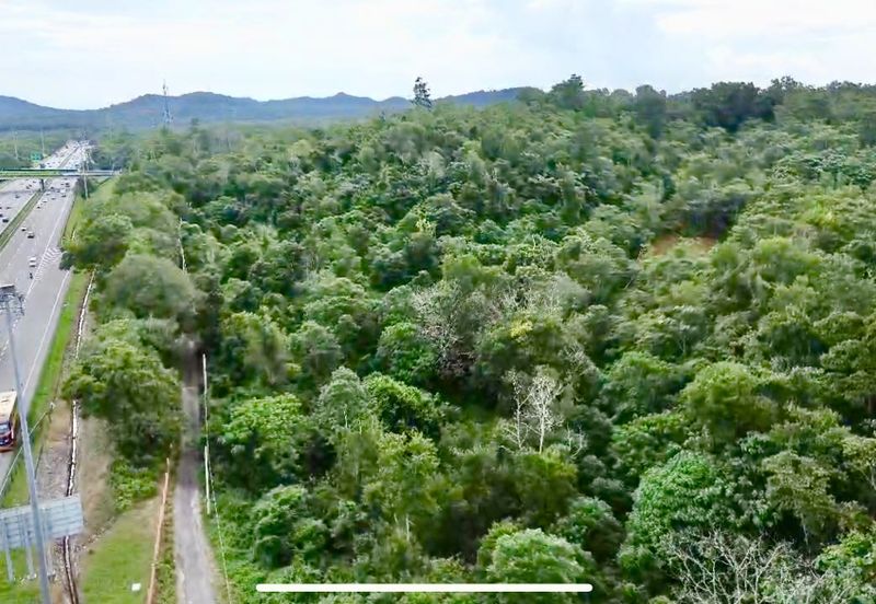 Agricutural Land Taboh Naning Alor Gajah