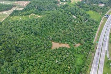 Agricutural Land for Sale Taboh Naning Alor Gajah