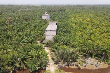 Pekan Tanjung Karang