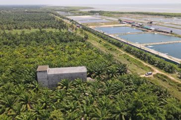 Pekan Tanjung Karang