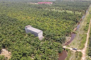 Pekan Tanjung Karang