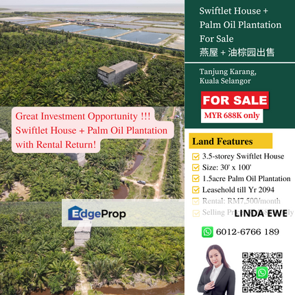 Swiftlet House + Oil Palm Plantation for Sale, Selangor, Tanjong Karang 
