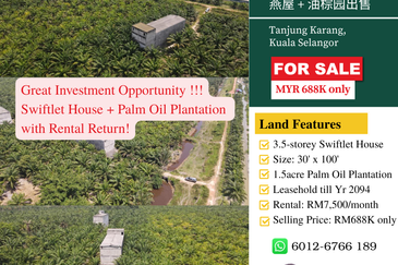 Pekan Tanjung Karang