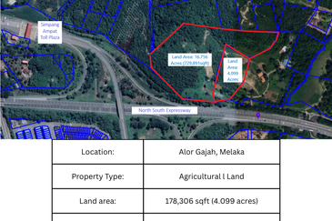 Agricutural Land for Sale Taboh Naning Alor Gajah