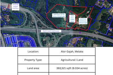 Agricutural Land Taboh Naning Alor Gajah