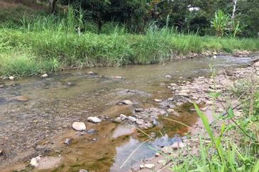 Durian Orchard Sg Chetang Raub for Sale