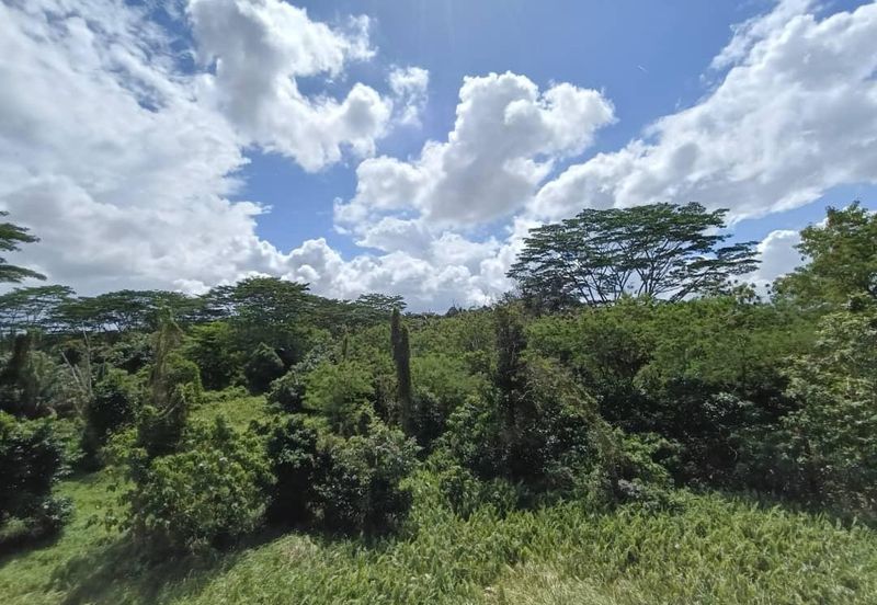 D Rich Executive Suites