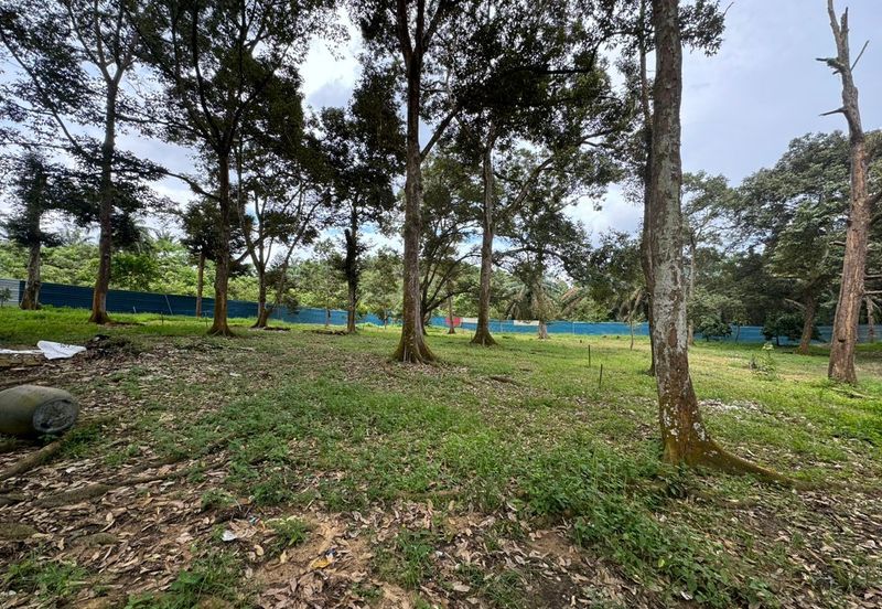 Bukit Batu Kulai Agriculture Land