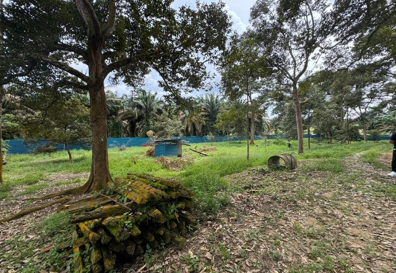 Bukit Batu Kulai Agriculture Land