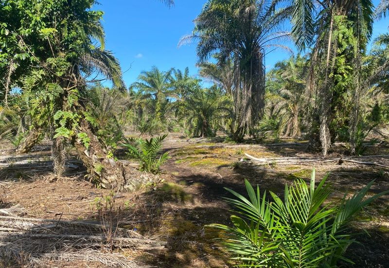 Taman Pontian Perdana