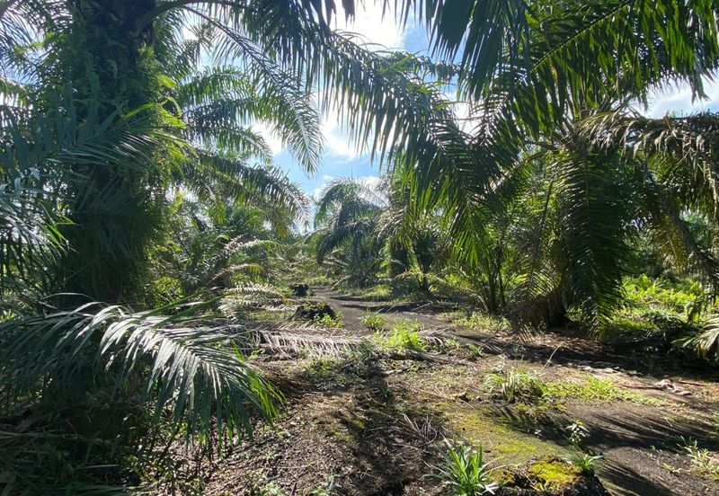 Taman Pontian Perdana