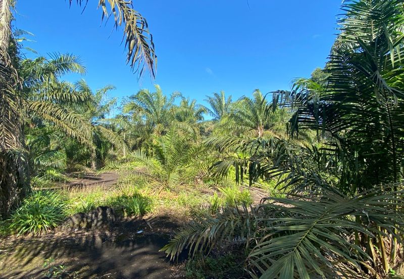 Taman Pontian Perdana