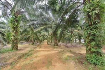 Kluang land for sale