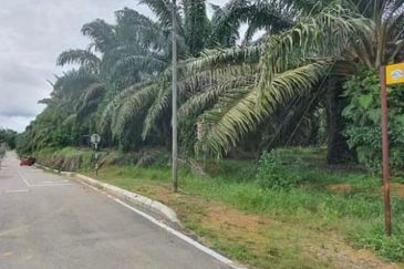 Kluang land for sale