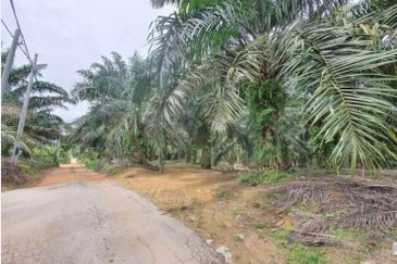 Kluang land for sale